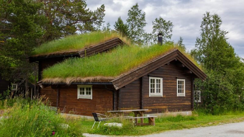 eco lifestyle and lodge barbados